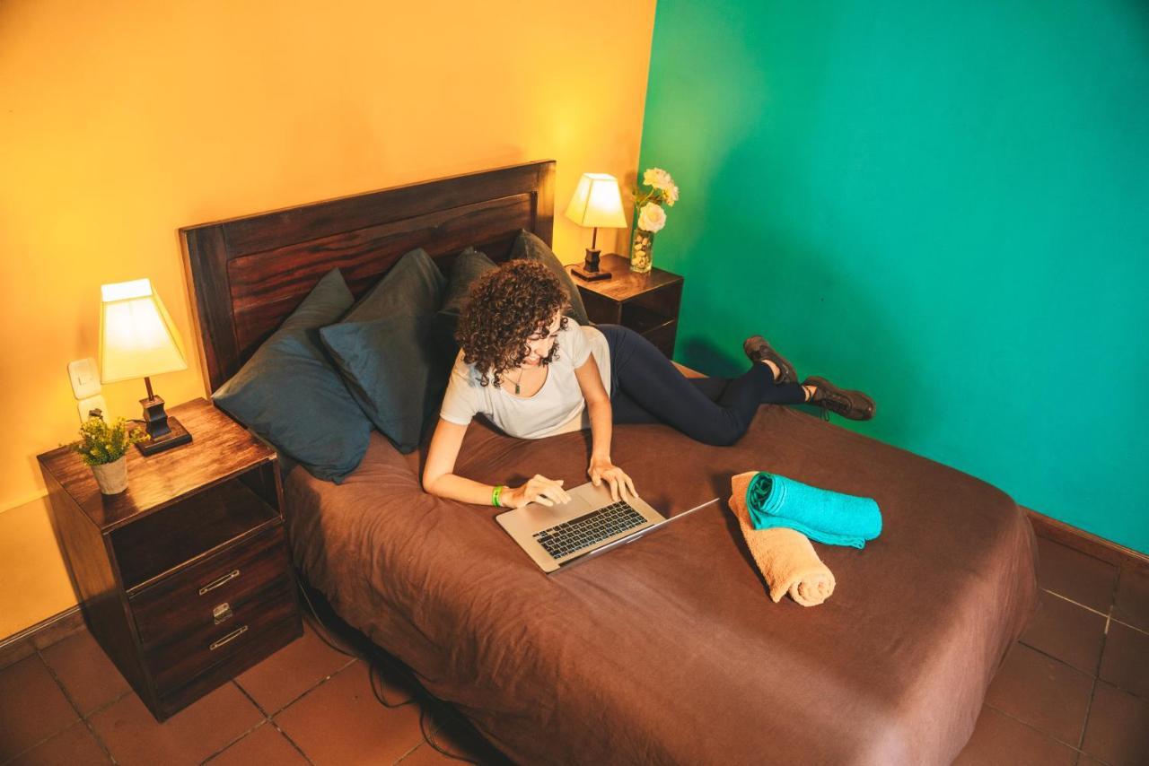 Wild Rover Albergue *